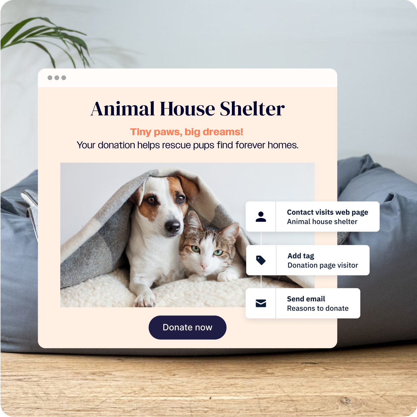 An animal shelter email, overlaid with an automation that adds tags and sends emails based on web visits.
