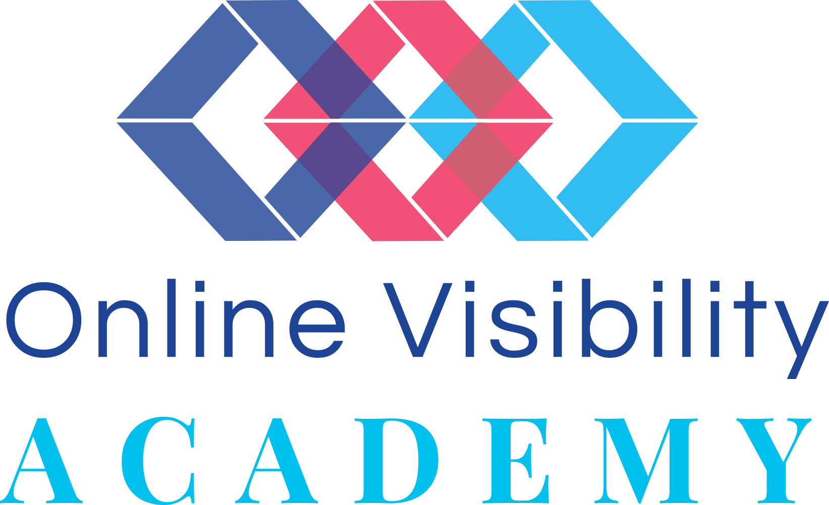 Online Visibility Academy
